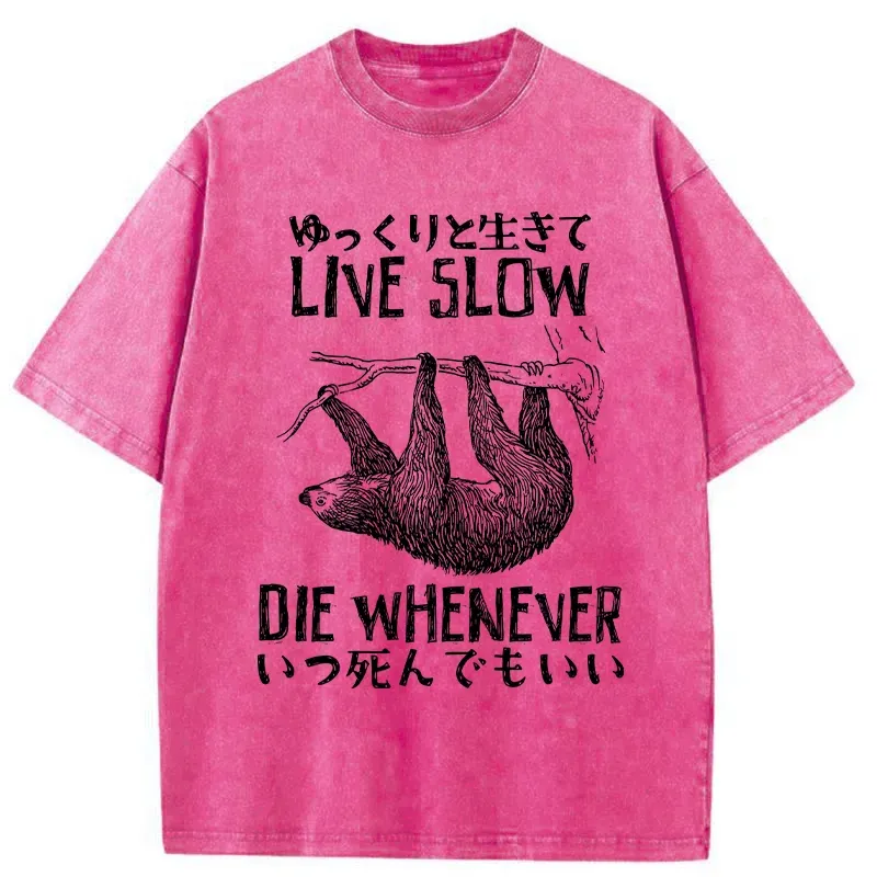 Tokyo-Tiger Slow-living Sloth Washed T-Shirt