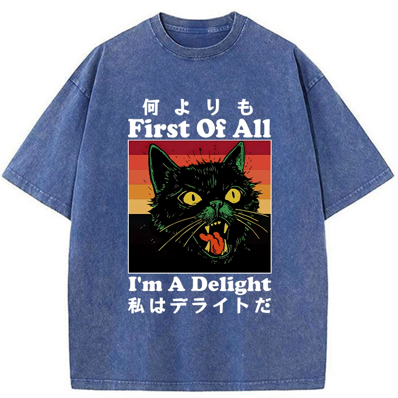 Tokyo-Tiger I'm A Delight Washed T-Shirt