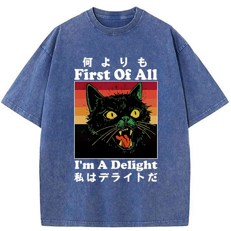 Tokyo-Tiger I'm A Delight Washed T-Shirt Sale