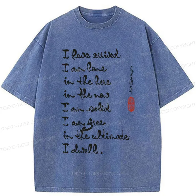 Tokyo-Tiger Zen Sayings Washed T-Shirt