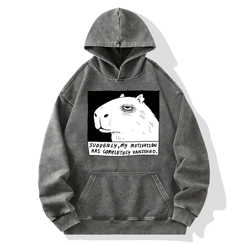 Tokyo-Tiger Power Has Completely Disappeared Washed Hoodie