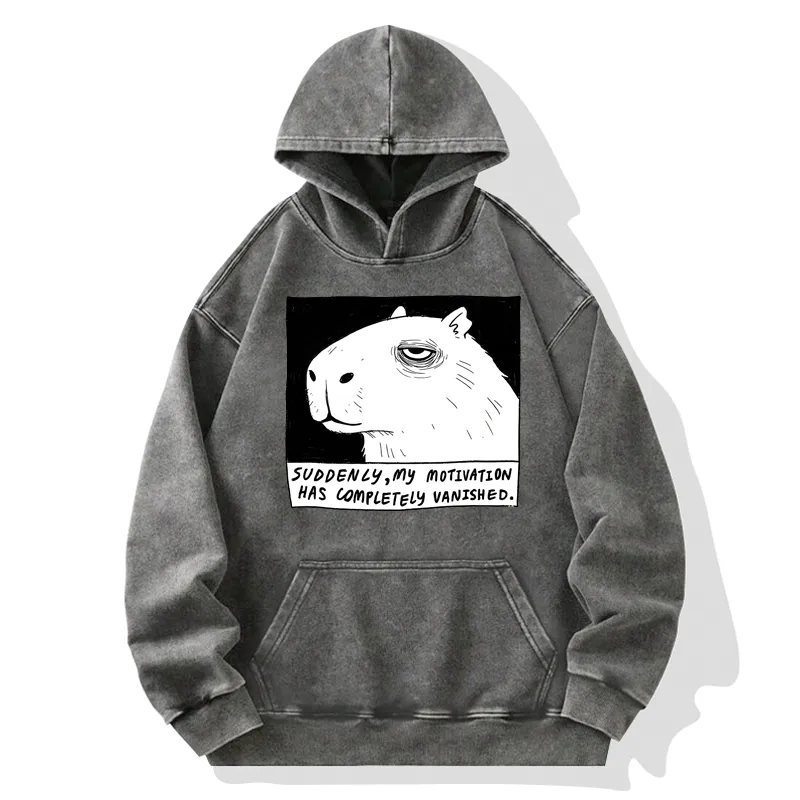 Tokyo-Tiger Power Has Completely Disappeared Washed Hoodie