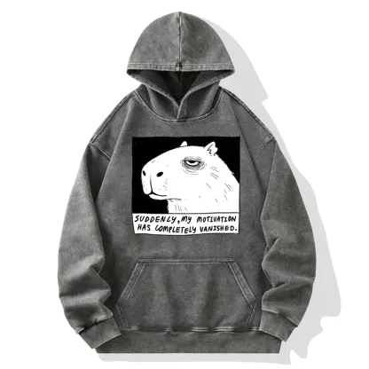 Tokyo-Tiger Power Has Completely Disappeared Washed Hoodie