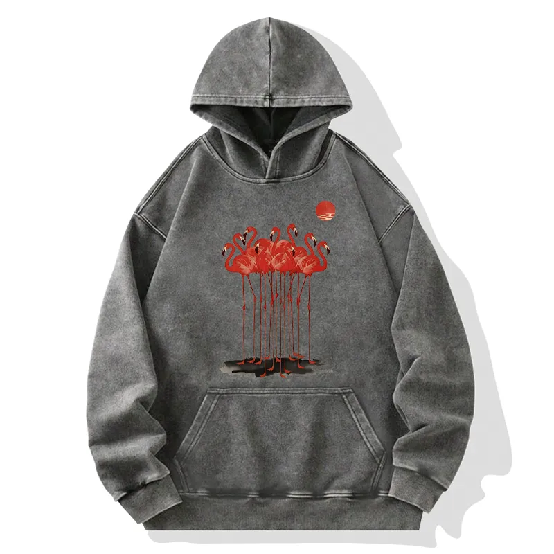 Tokyo-Tiger Flamingos at Dusk Washed Hoodie