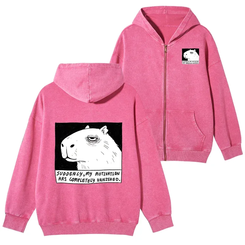 Tokyo-Tiger Power Has Completely Disappeared Washed Zip Hoodie