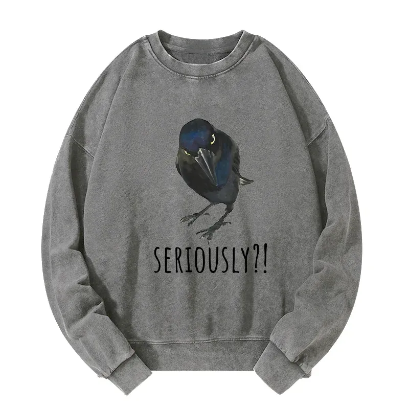 Tokyo-Tiger Raven's Question Washed Sweatshirt