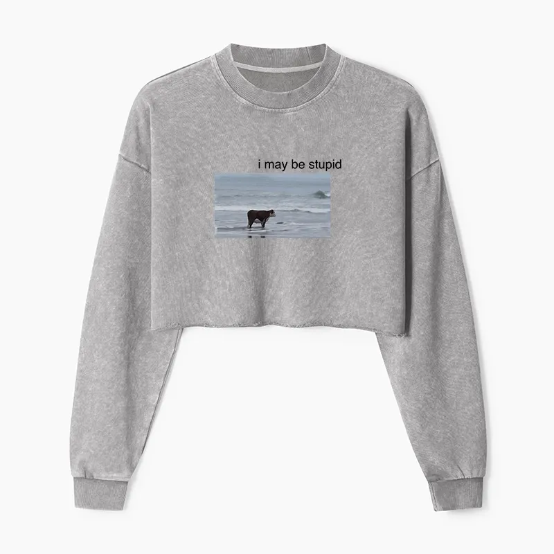 Tokyo-Tiger Foolish Cow Washed Crop Sweatshirt