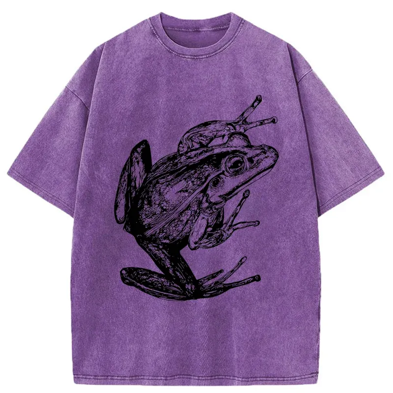 Tokyo-Tiger Retro Frog Japanese Washed T-Shirt