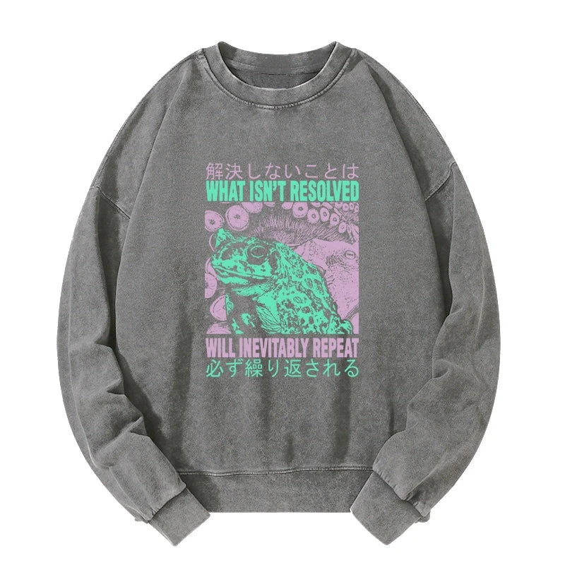 Tokyo-Tiger What Ist Resolved Forg Washed Sweatshirt