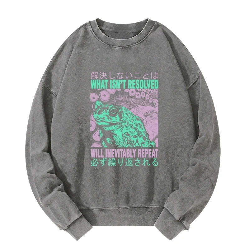Tokyo-Tiger What Ist Resolved Forg Washed Sweatshirt