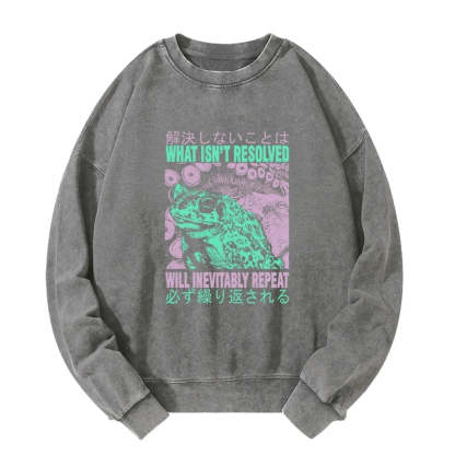 Tokyo-Tiger What Ist Resolved Forg Washed Sweatshirt