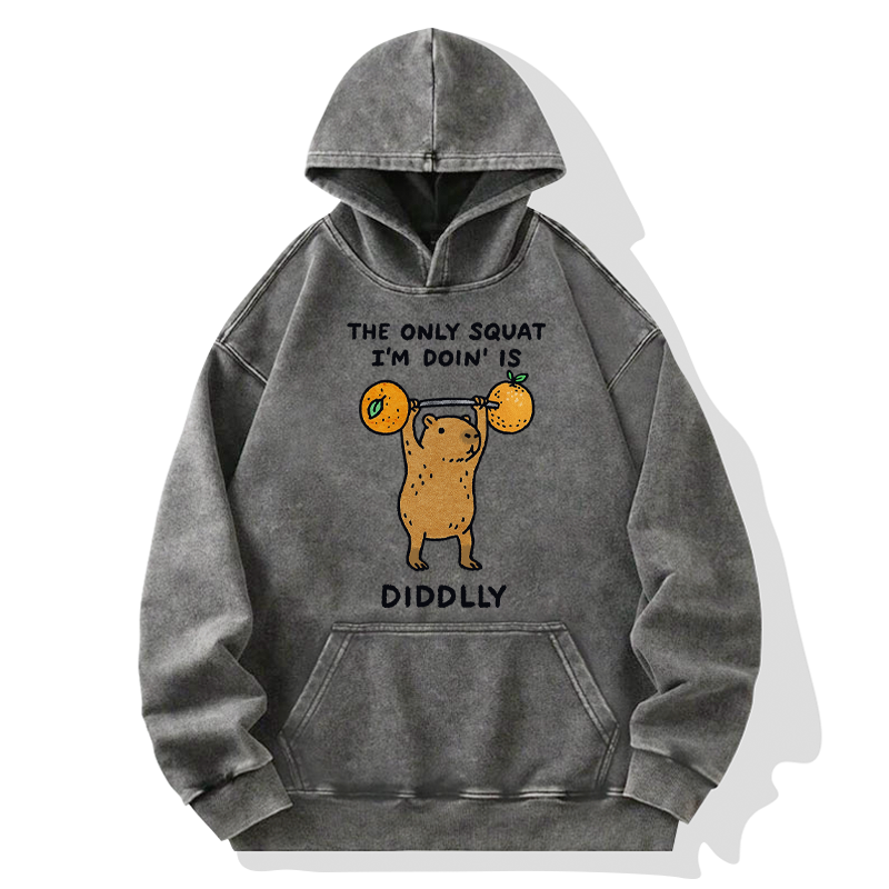 Tokyo-Tiger Diddly Capybara Washed Hoodie