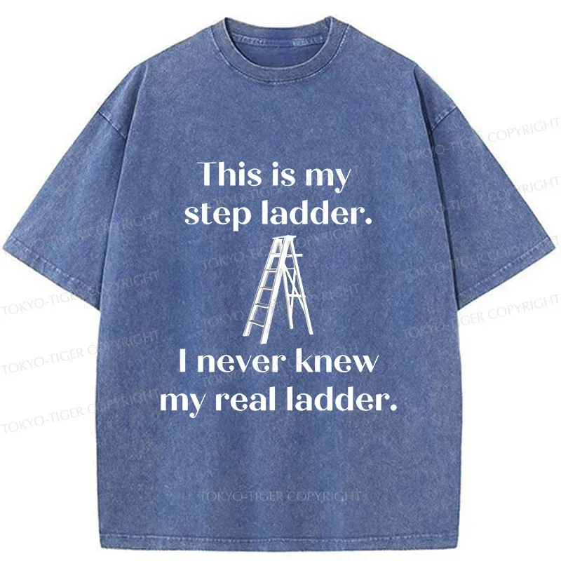 Tokyo-Tiger A Real Ladder Funny Washed T-Shirt
