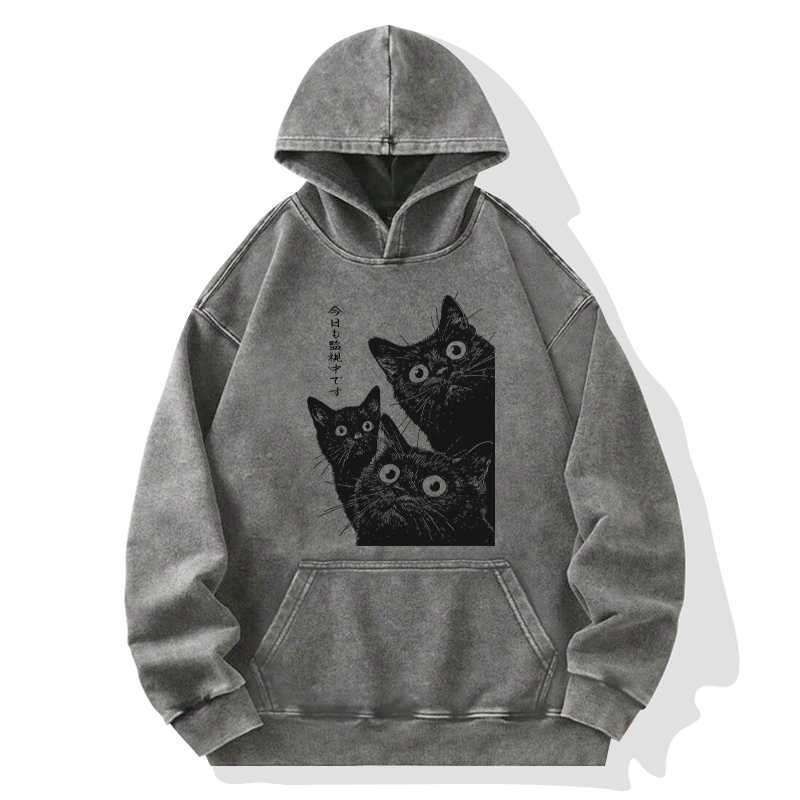 Tokyo-Tiger Three Cats Are Watching You Today Washed Hoodie