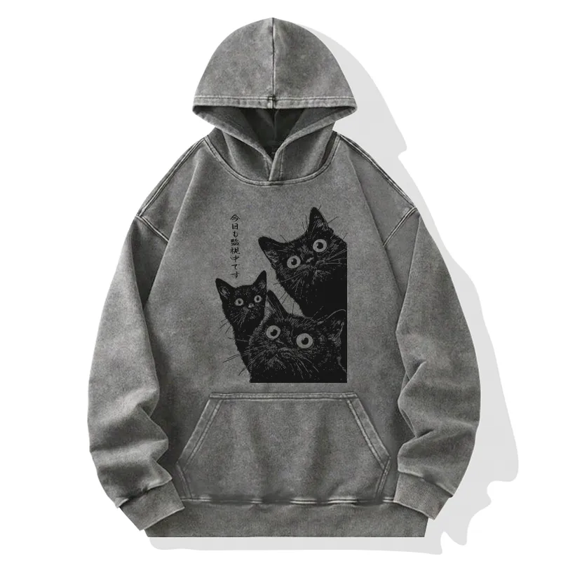 Tokyo-Tiger Three Cats Are Watching You Today Washed Hoodie