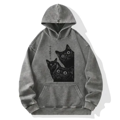 Tokyo-Tiger Three Cats Are Watching You Today Washed Hoodie
