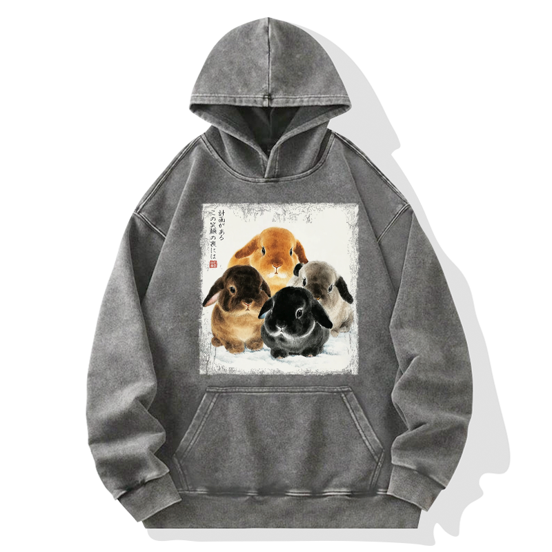 Tokyo-Tiger The Ink Wash Rabbit Is Watching You Washed Hoodie