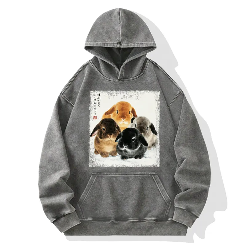 Tokyo-Tiger The Ink Wash Rabbit Is Watching You Washed Hoodie