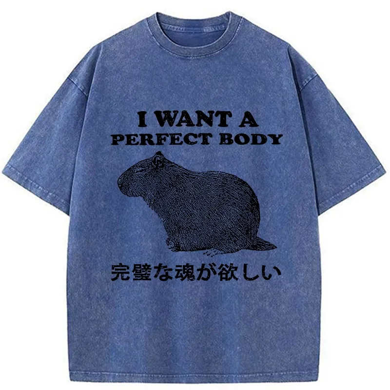 Tokyo-Tiger I Want A Perfect Body Washed T-Shirt