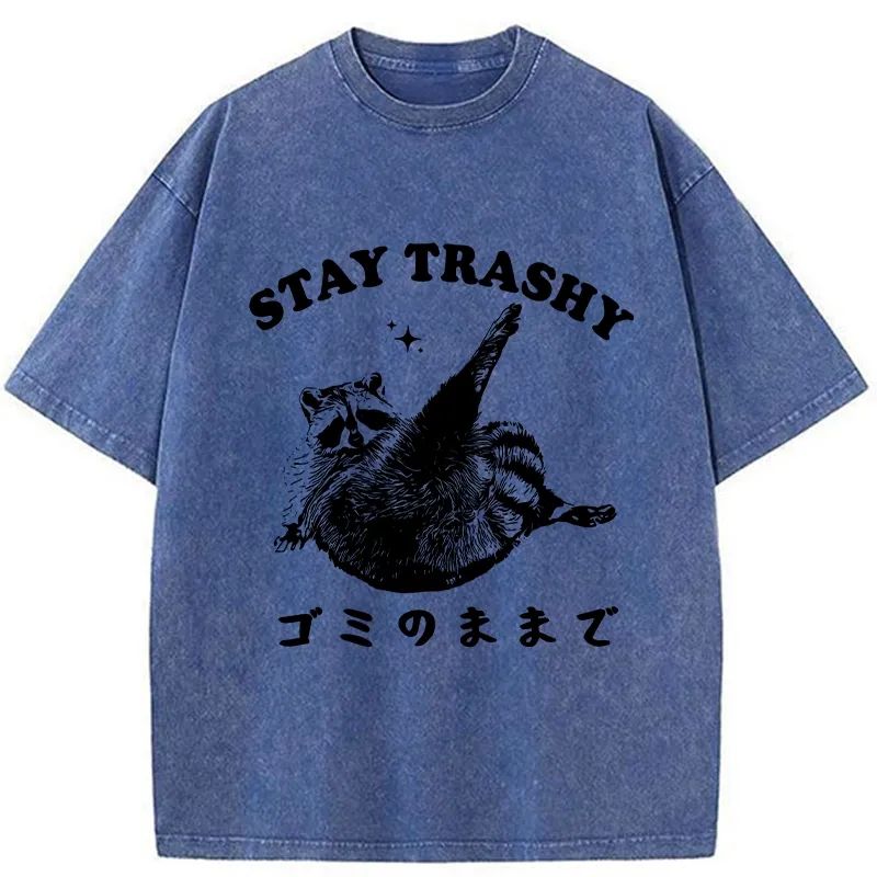 Tokyo-Tiger Raccoon Stay Trashy Washed T-Shirt