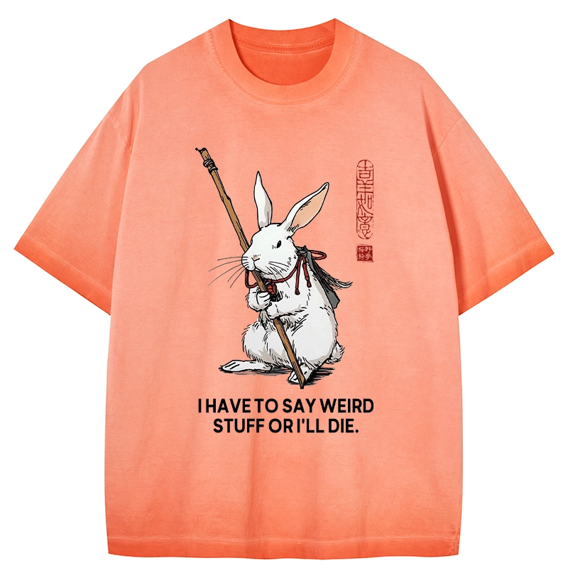 Tokyo-Tiger Rabbit Gotta Say Weird Stuff Or Die Gradient Washed T-Shirt