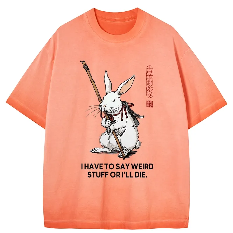 Tokyo-Tiger Rabbit Gotta Say Weird Stuff Or Die Gradient Washed T-Shirt