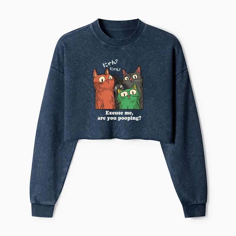 Tokyo-Tiger Cats Watching Poop Washed Crop Sweatshirt