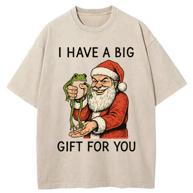 Tokyo-Tiger Santa’s Special Gift Washed T-Shirt