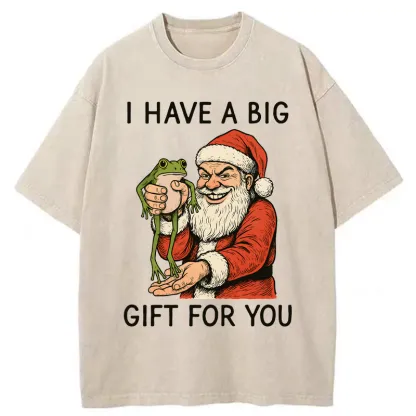 Tokyo-Tiger Santa’s Special Gift Washed T-Shirt