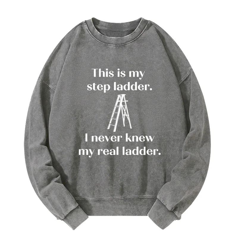 Tokyo-Tiger A Real Ladder Funny Washed Sweatshirt