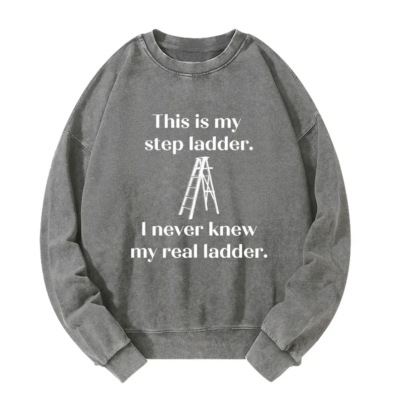 Tokyo-Tiger A Real Ladder Funny Washed Sweatshirt