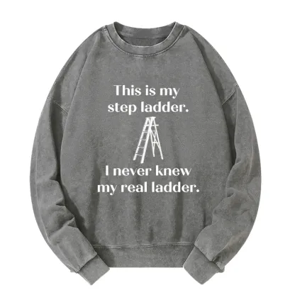 Tokyo-Tiger A Real Ladder Funny Washed Sweatshirt