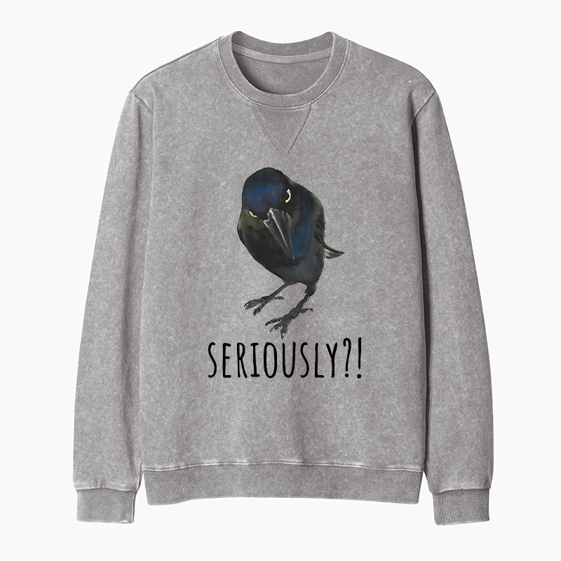 Tokyo-Tiger Raven's Question Washed Terry Sweatshirt