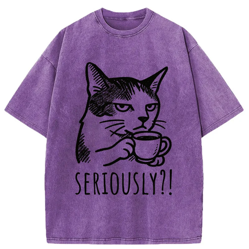 Tokyo-Tiger Cat's Suspicion Washed T-Shirt