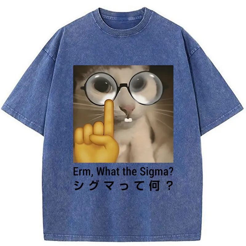 Tokyo-Tiger Erm What The Sigma Washed T-Shirt