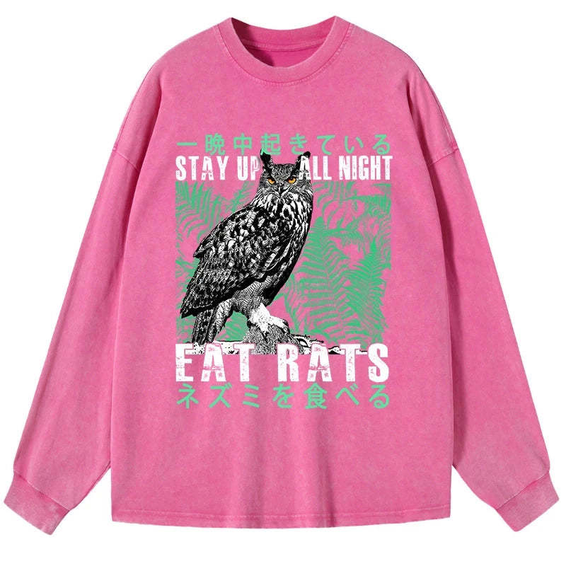 Tokyo-Tiger Owls Prey On Rats At Night Washed Long Sleeve T-Shirt