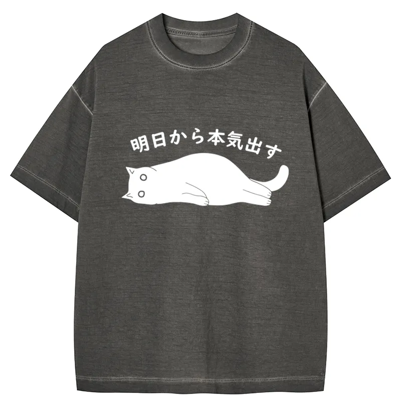 Tokyo-Tiger I'm Going To Get Serious Tomorrow Gradient Washed T-Shirt