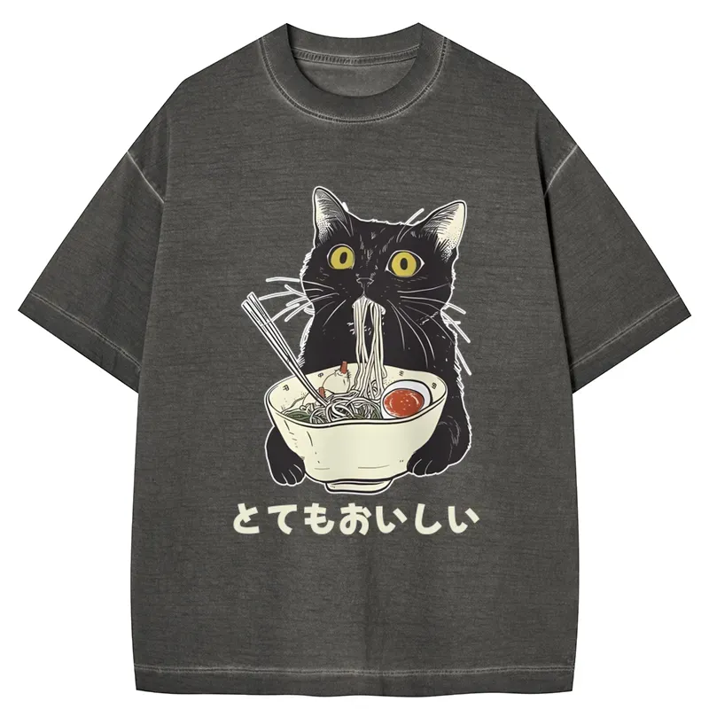 Tokyo-Tiger Cats Eat Ramen Noodles Gradient Washed T-Shirt