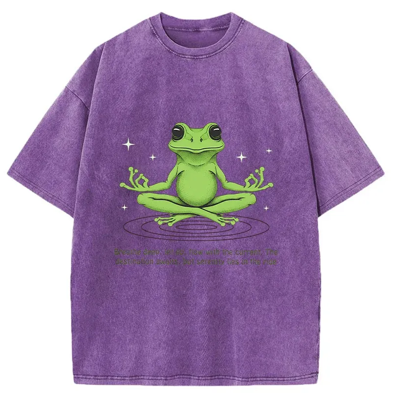 Tokyo-Tiger Zen Frog Japan Washed T-Shirt
