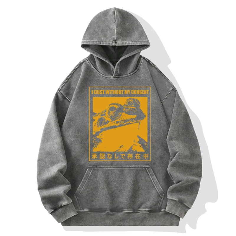 Tokyo-Tiger Unauthorized Existence Washed Hoodie