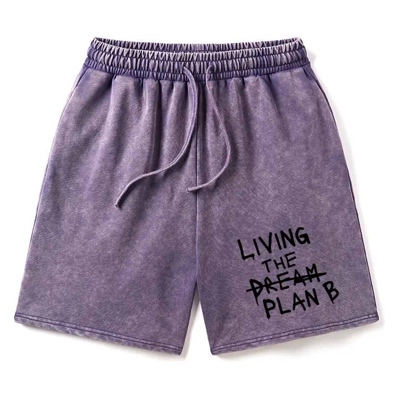 Tokyo-Tiger Implement Plan B Washed Shorts Sale