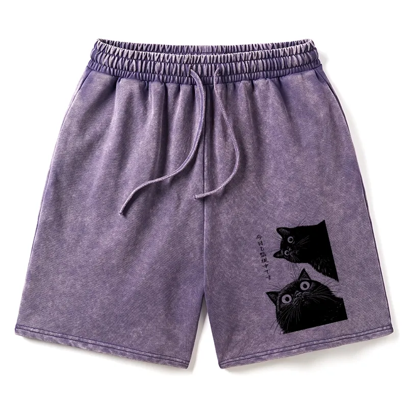 Tokyo-Tiger The Cat Is Watching Today Washed Shorts