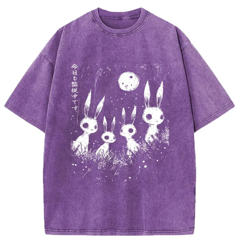 Tokyo-Tiger Rabbit Is Watching You Washed T-Shirt
