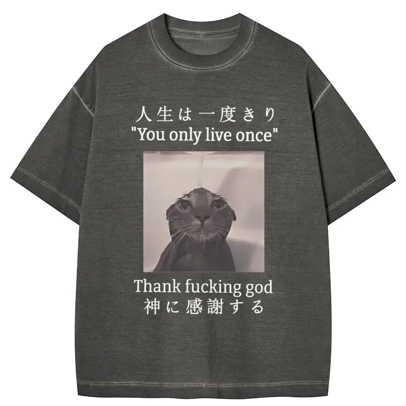 Tokyo-Tiger Funny Melancholy Cat Gradient Washed T-Shirt