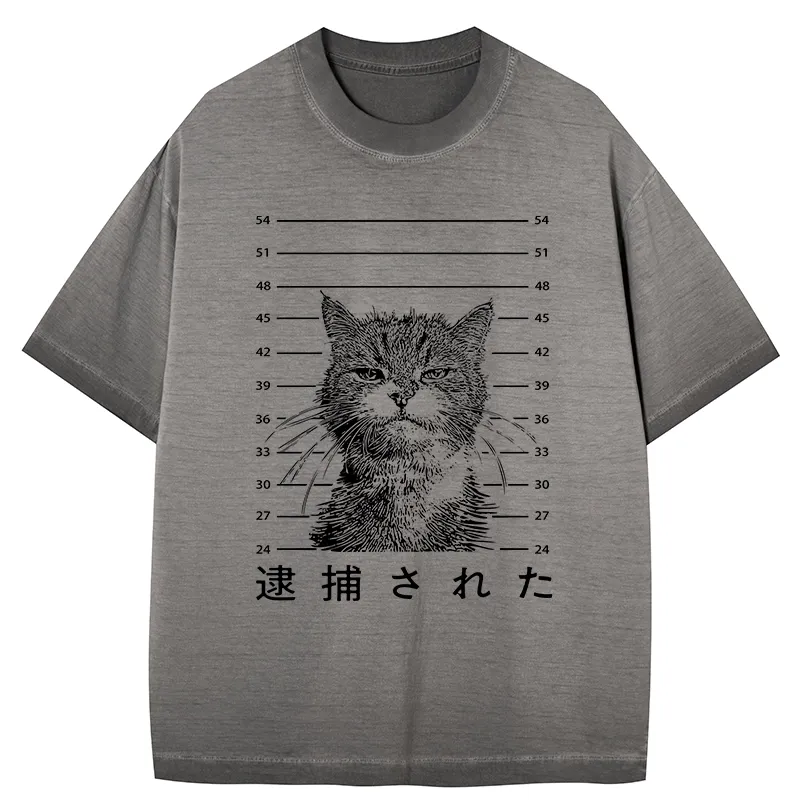 Tokyo-Tiger Cat That Was Arrested Gradient Washed T-Shirt