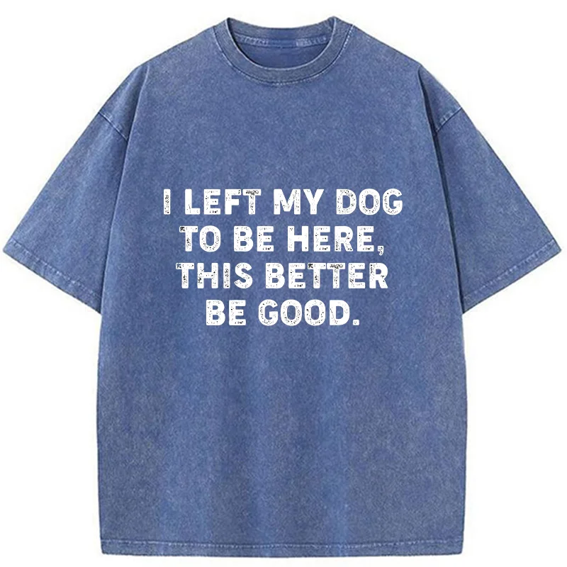 Tokyo-Tiger Funny Dog Owner Quote Washed T-Shirt