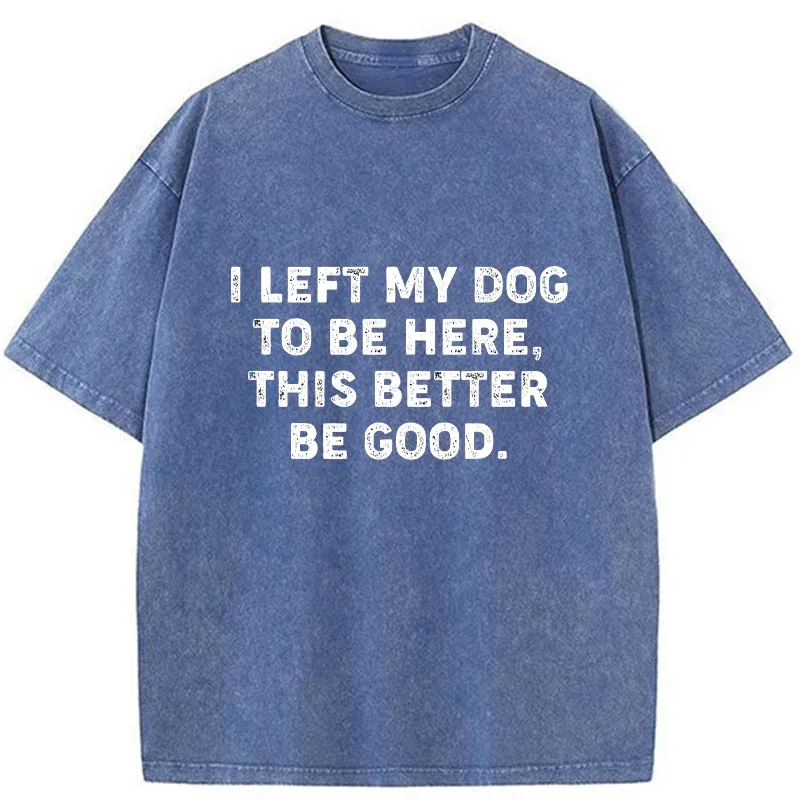 Tokyo-Tiger Funny Dog Owner Quote Washed T-Shirt