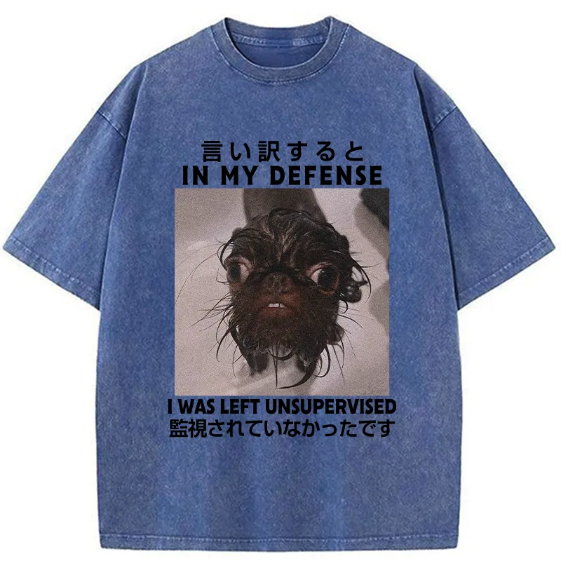 Tokyo-Tiger I Was Left Unsupervised Washed T-Shirt