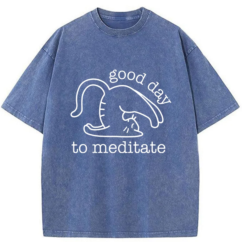 Tokyo-Tiger Cats Doing Yoga Washed T-Shirt