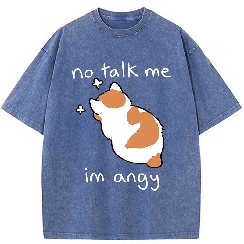 Tokyo-Tiger Cat Refused To Communicate Washed T-Shirt